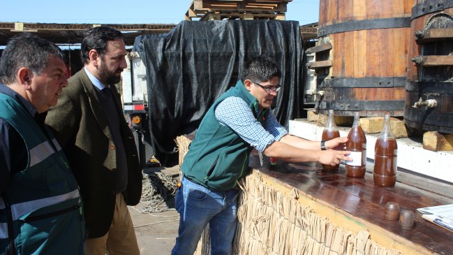 Arica: Refuerzan fiscalizaciones a locales que venderán chicha y pipeño en Fiestas Patrias