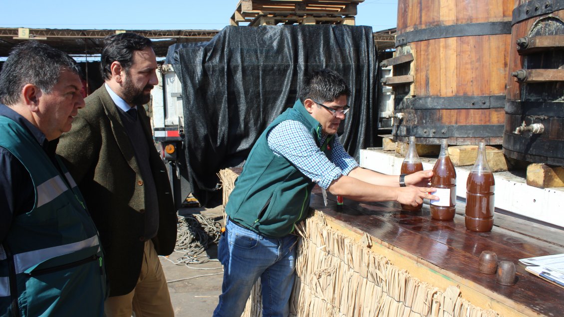 Arica: Refuerzan fiscalizaciones a locales que venderán chicha y pipeño en Fiestas Patrias