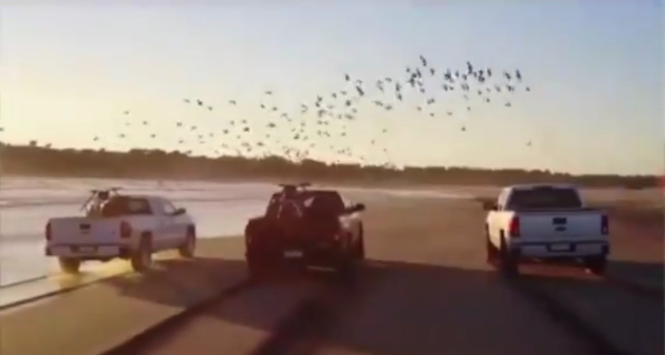 Empresa de automóviles declaró ante Fiscalía Marítima por realización de video en Ritoque