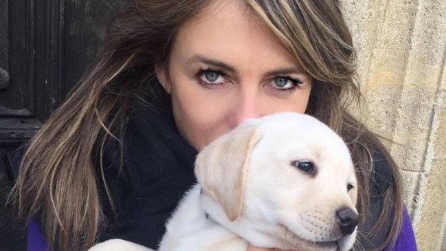 Elizabeth Hurley gana demanda contra Amazon tras atropello de su perro