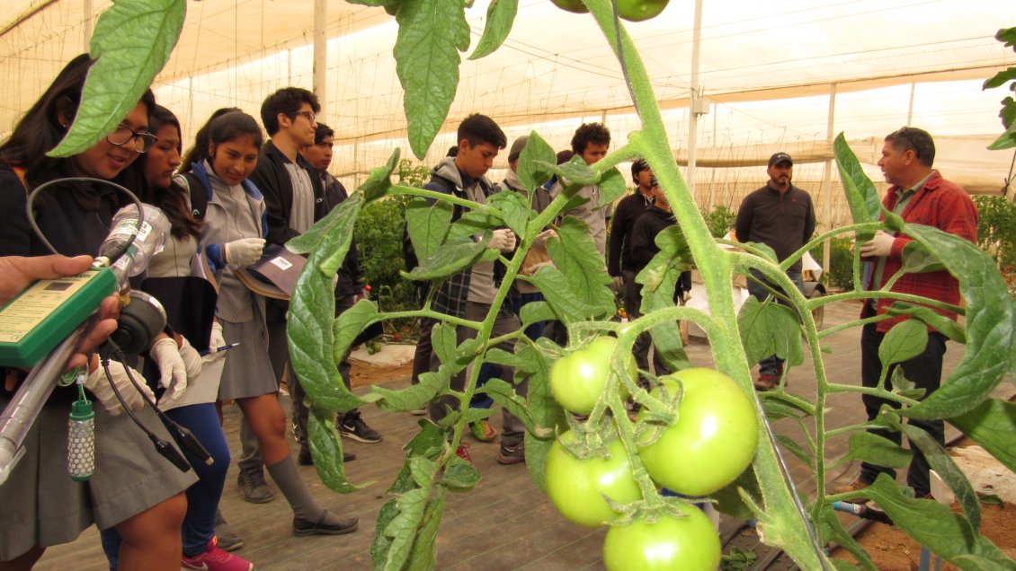 Agricultores de Arica y Parinacota podrán participar en seminario internacional