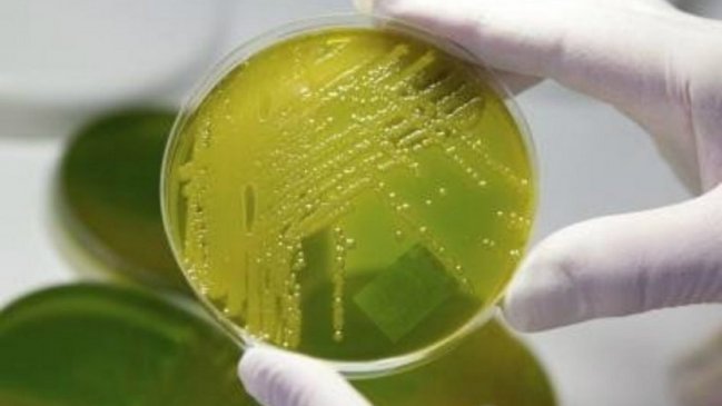 Bacteria en Argentina: Van nueve fallecidos y hay otro caso en estudio