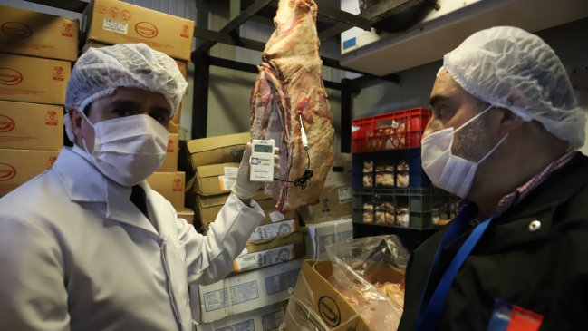 300 kilos de carne en mal estado fueron decomisados por Seremi de Salud en Valparaíso
