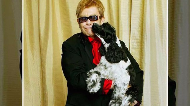 Diario inglés difamó a Elton John al exagerar un incidente con su perro