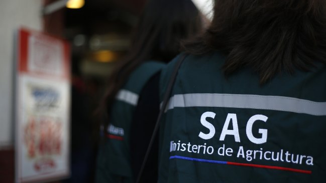 Ñuble: SAG multó a 10 locales por infracciones a la Ley de Carnes