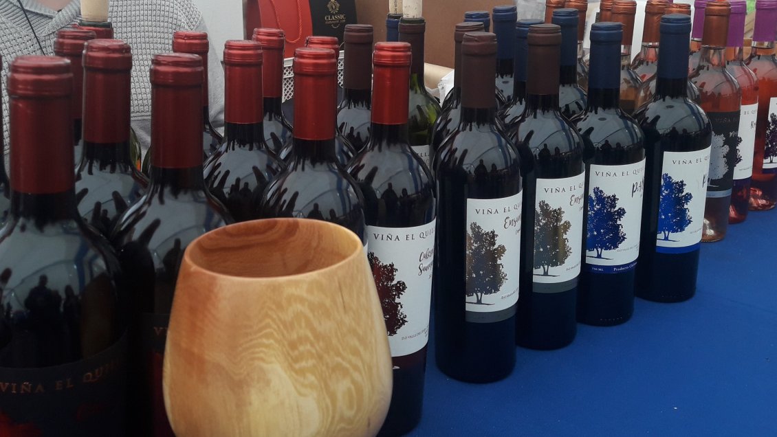 Ñuble: Primer Concurso Interregional del Vino se realizará en Coelemu