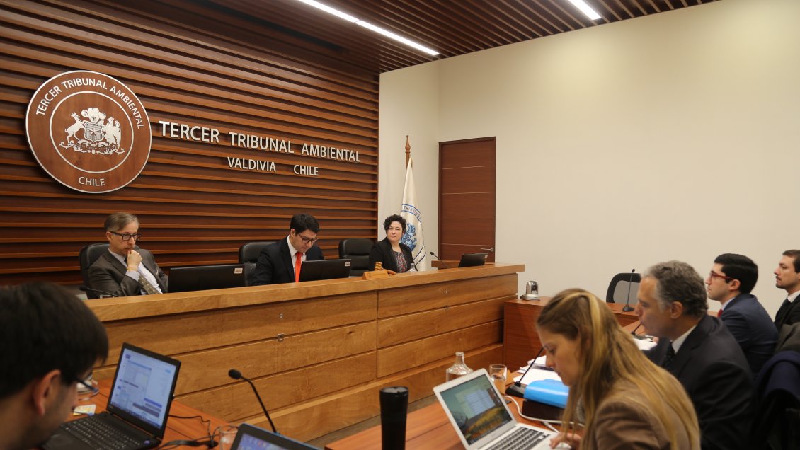 Tribunal Ambiental de Valdivia realizará inspección a sanitaria ESSAL tras presunto daño al lago Panguipulli