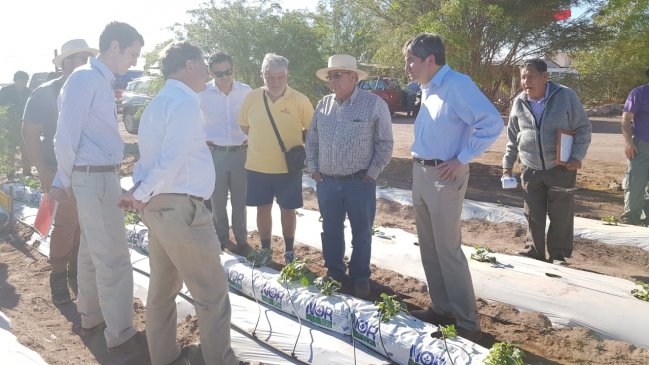 Productores de Tarapacá reciben sello para destacar el trabajo artesanal