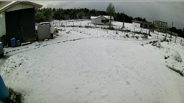Chubascos de nieve sorprendieron en la zona sur de la Región de Los Lagos
