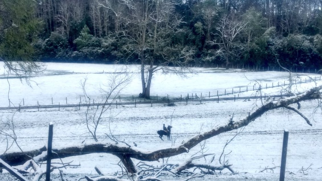 Los Rios: Nieve, granizos y bajas temperaturas despertaron a Valdivia