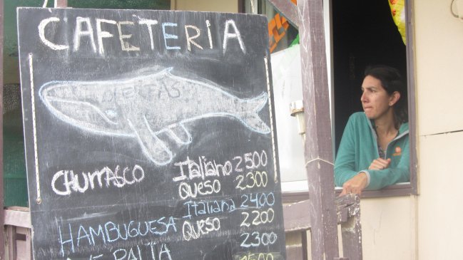 Atacama: La importancia de los empleos de emergencia de Conaf