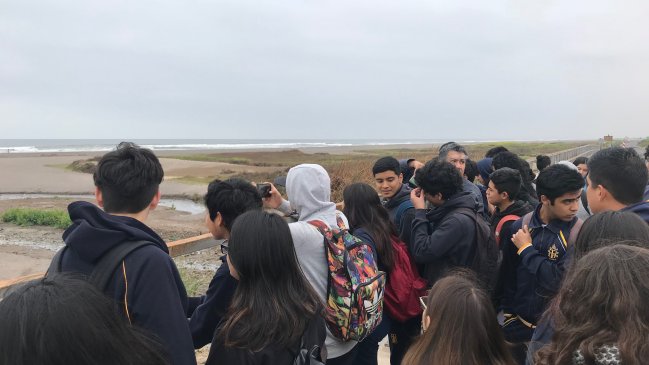 Arica: Escolares asumen como promotores de la protección del humedal del Río Lluta