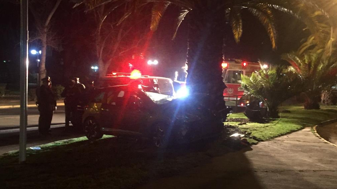 Vehículo chocó con palmera cerca del Parque O'Higgins