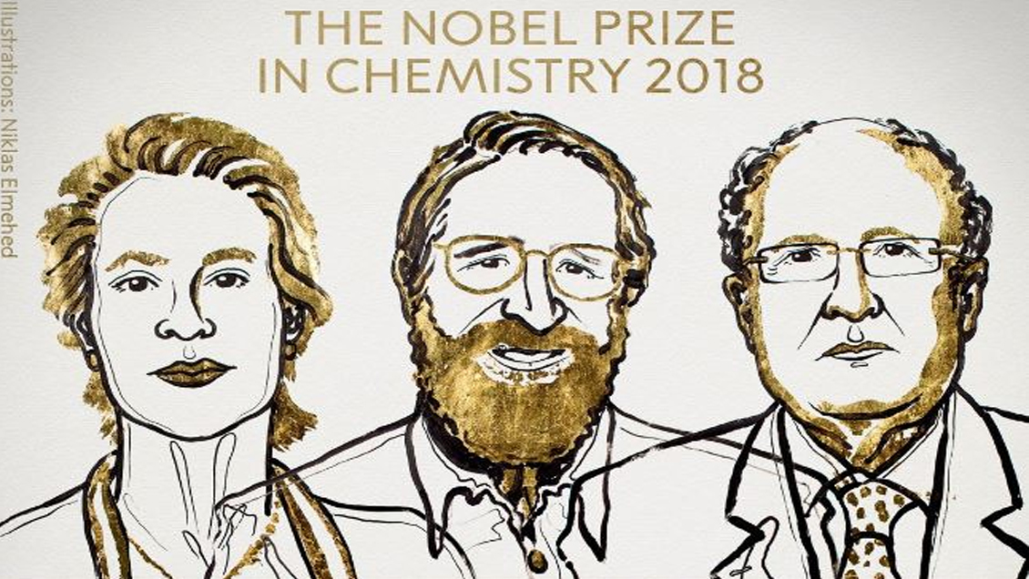 Nobel de Química 2018 para dos estadounidenses y un británico por avances en desarrollo de proteínas