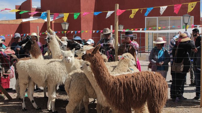 General Lagos: La comuna situada más al norte de Chile que lucha por no despoblarse