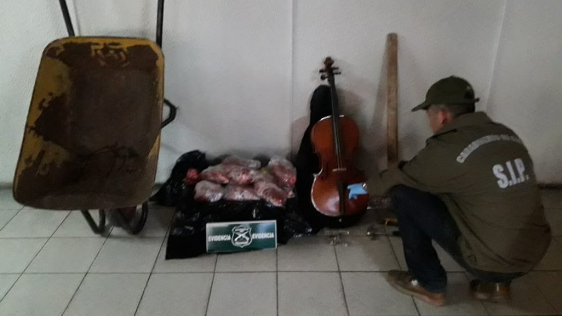 Desde una carretilla hasta un violonchelo: Carabineros detuvo a mujer acusada de cometer diversos robos