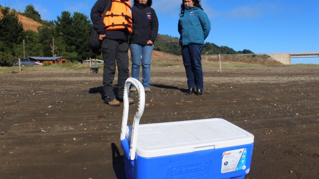 Los Ríos: detectan marea roja en Corral y restringen extracción de mariscos