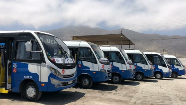 Línea 119 del TransAntofagasta incorporó seis micros inclusivas a su recorrido