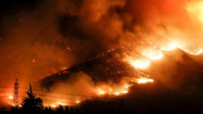 Gobierno instó a reforestar zonas dañadas por los incendios forestales de 2017