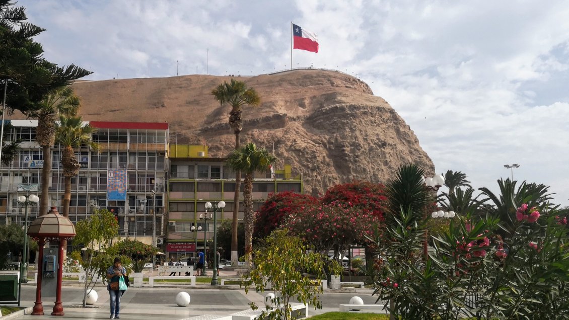 Hombre murió tras lanzarse desde el Morro de Arica ...