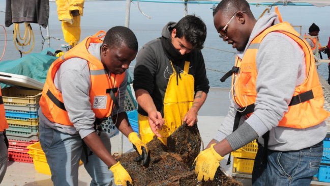 Delegación extranjera conoció el cultivo del ostión en Tongoy