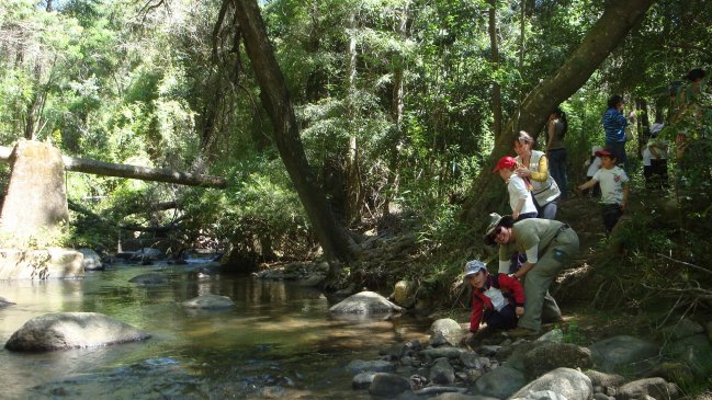 Concepción: Cierre temporal afectará a la Reserva Nacional Nonguén