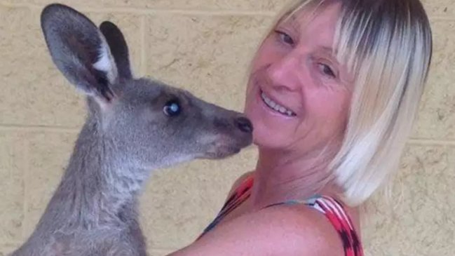 Canguro atacó a la familia que lo cuidaba y los mandó al hospital