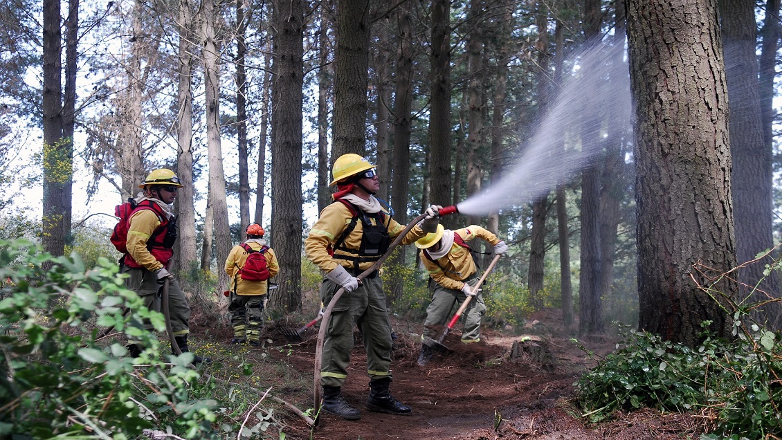 Arauco anunció cámaras robot y 28 aeronaves como inversión contra incendios