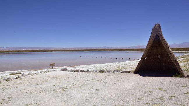Juzgado ordenó al Estado transferir las Lagunas Cejar y Piedra a la Comunidad Atacameña Solor