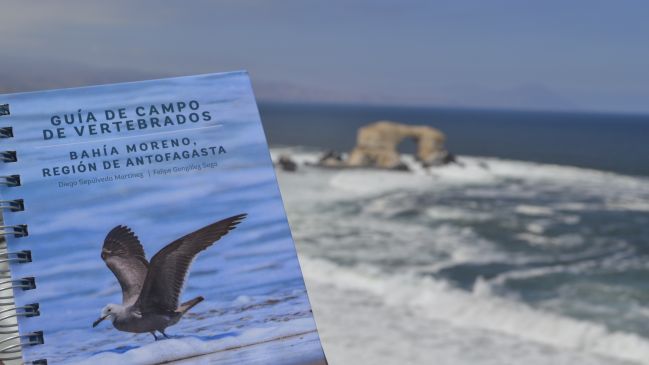 Publican libro para reconocer vertebrados en la zona costera de la región de Antofagasta