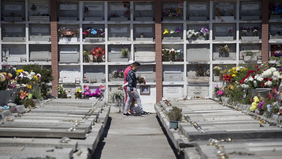 Viña del Mar: Mano hallada en la vía pública procedía de una fosa común