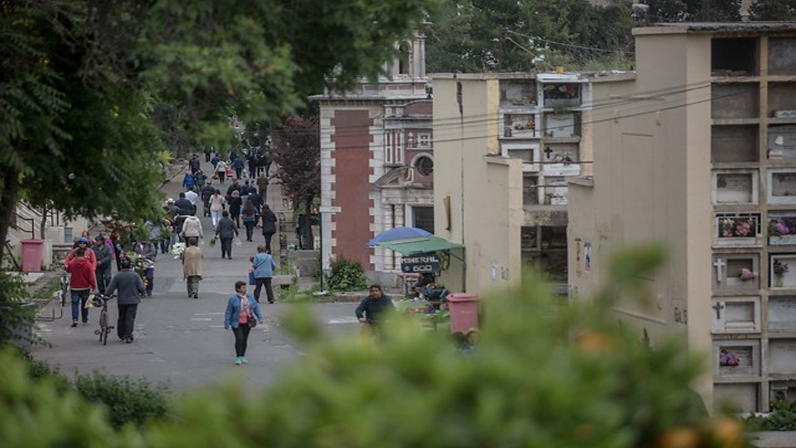 Viña del Mar: Seremi de Salud inició sumario tras hallazgo de mano en cercanías de cementerio