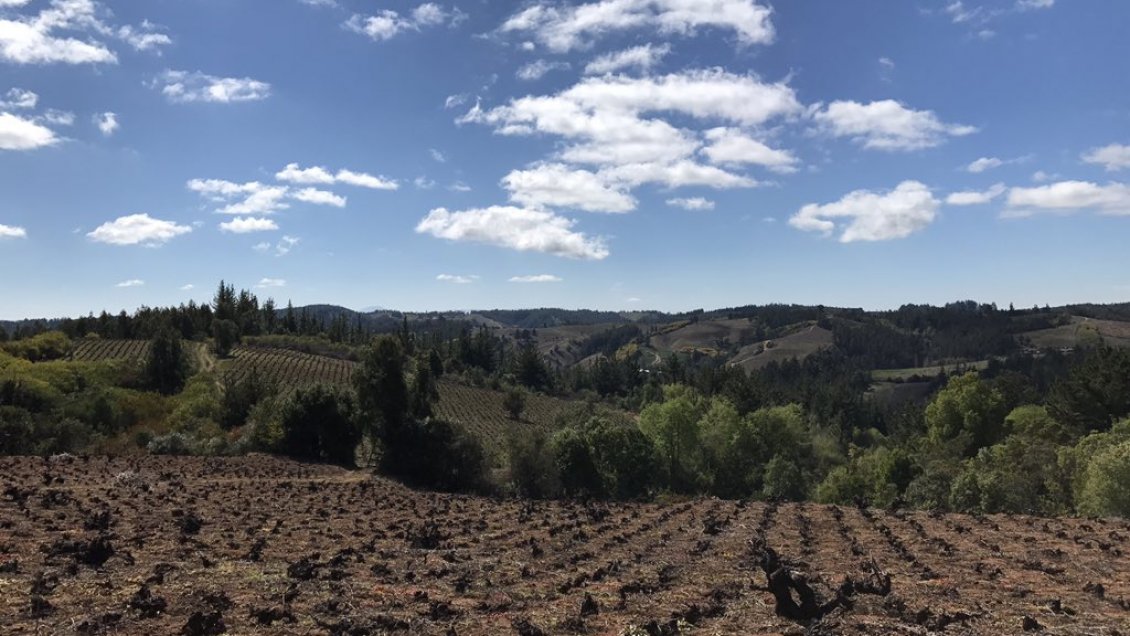 Mesa de trabajo sectorial de Trehuaco se traspasó a la Gobernación de Itata