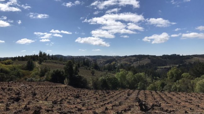 Mesa de trabajo sectorial de Trehuaco se traspasó a la Gobernación de Itata