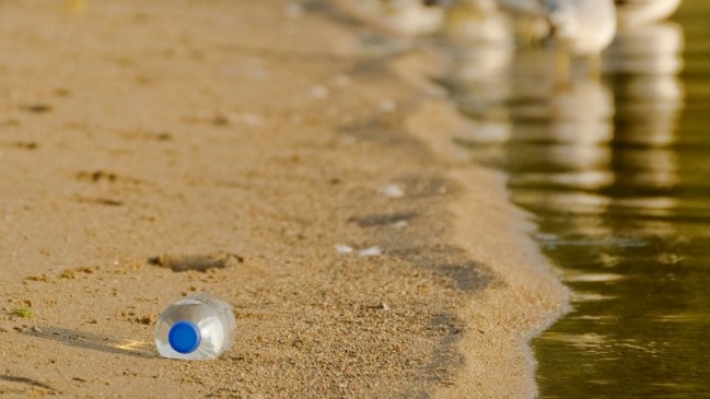 Una decena de plásticos diferentes ya llegó al intestino humano