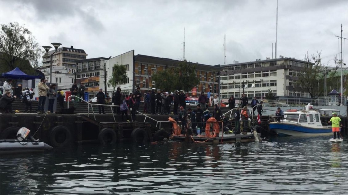 Primera jornada de limpieza: Jóvenes buzos se sumergieron en el Río Valdivia