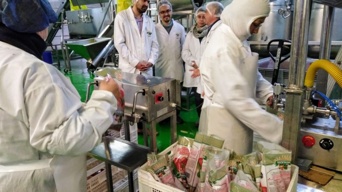 Agroindustria del Maule contará con plataforma para entregar soluciones de eficiencia energética