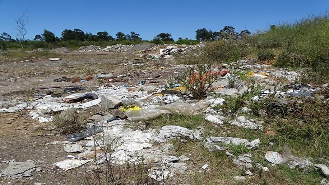 San Pedro de la Paz: Millonaria multa a particular por rellenar esteros del humedal Los Batros