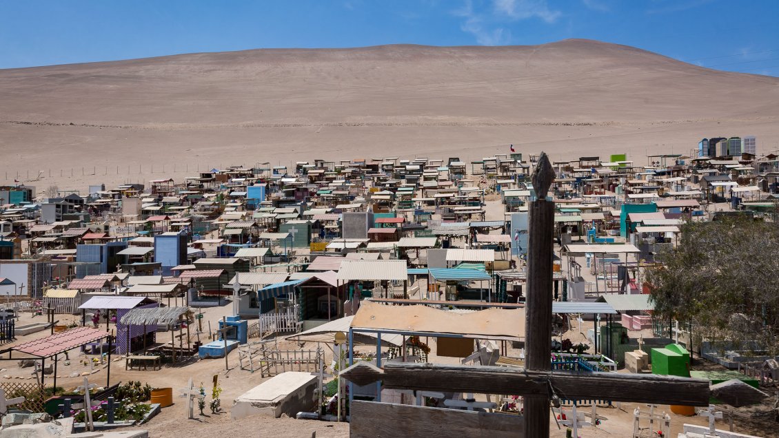 Arica: Cementerio de San Miguel de Azapa tendrá horario extendido por el Día de Todos los Santos