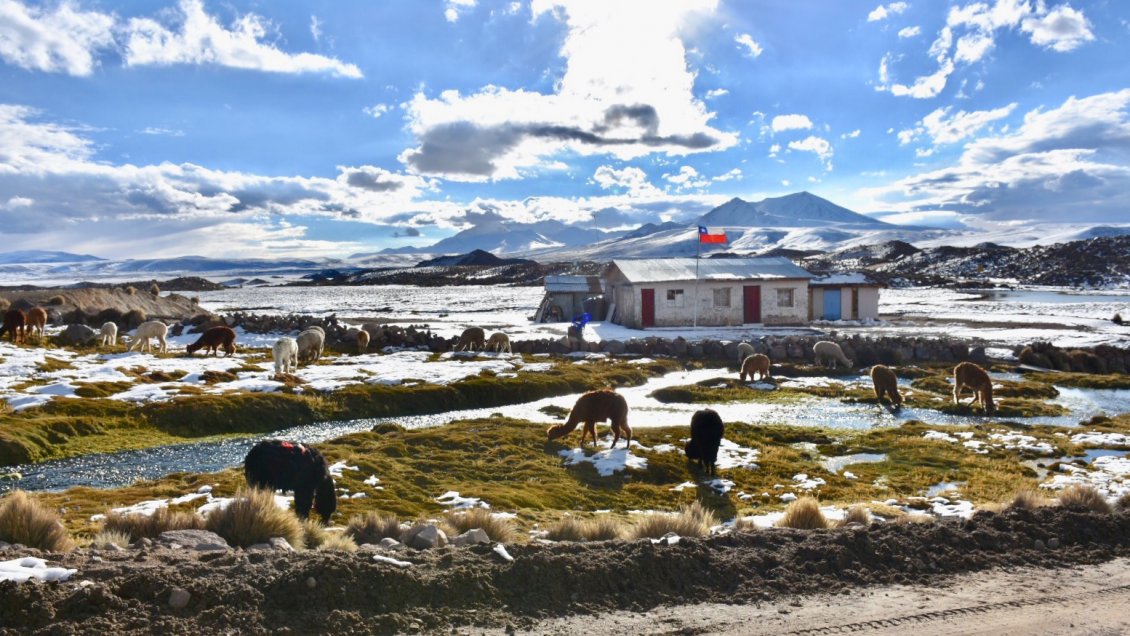 Plan Parinacota: Gobierno pone plazo de tres meses para presentar la propuesta a la comunidad