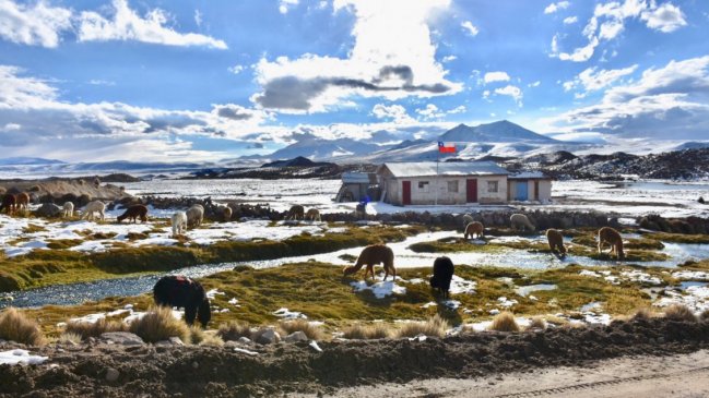 Plan Parinacota: Gobierno pone plazo de tres meses para presentar la propuesta a la comunidad