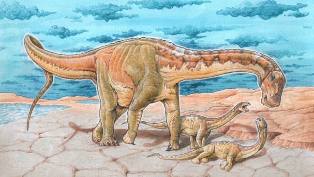 Descubren en Argentina a 