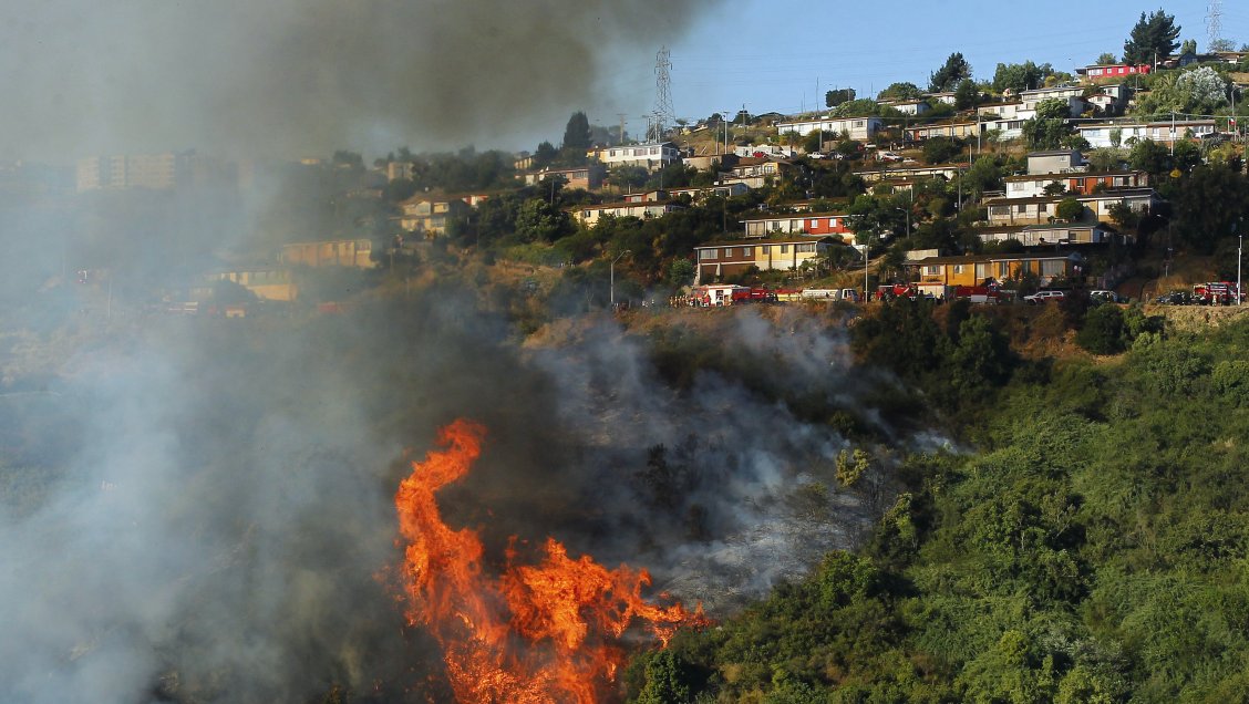 Conaf por alerta preventiva: Este año se ha registrado un 43 por ciento más de incendios