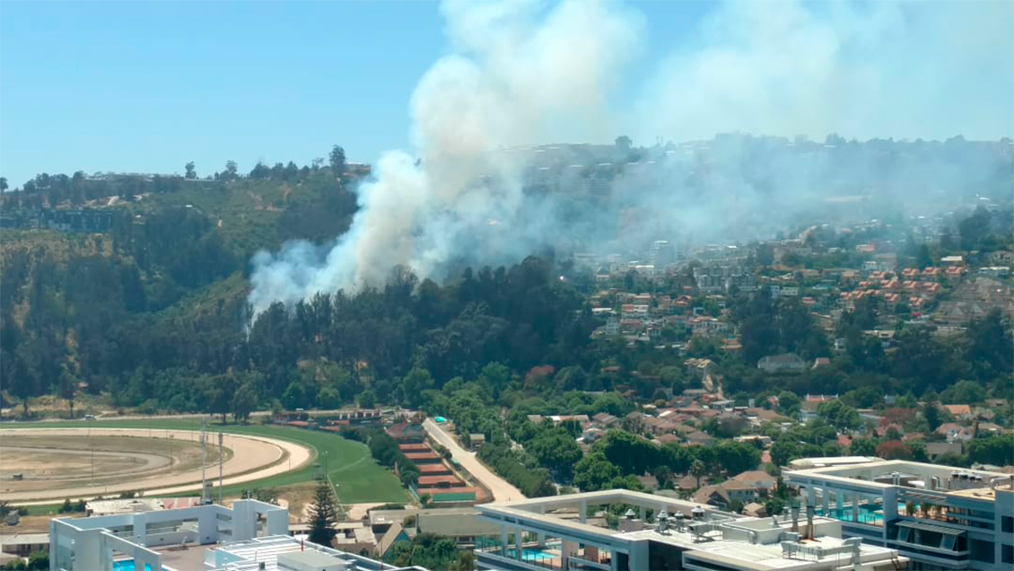 Incendio forestal afectó a sector del Sporting Club de Viña del Mar