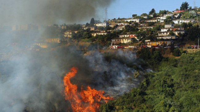 Conaf por alerta preventiva: Este año se ha registrado un 43 por ciento más de incendios