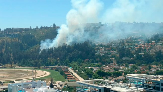 Incendio forestal afectó a sector del Sporting Club de Viña del Mar