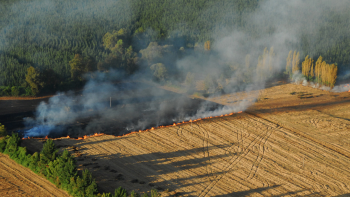 Suspenden quemas controladas debido a las altas temperaturas en O'Higgins