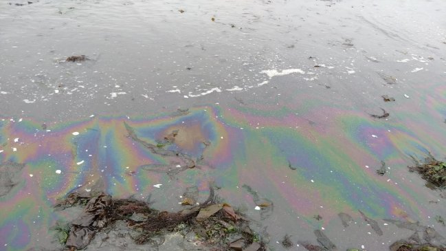 Investigan presunto derrame de hidrocarburos en playa El Morro de Talcahuano