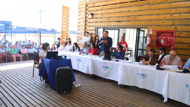 Consejo Regional estudia mejoramiento de piscina municipal y Plaza de Armas de San Fernando