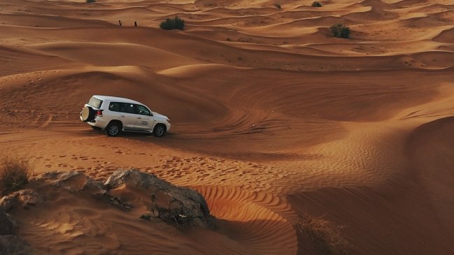 Familia se quedó sin bencina ni agua y murió por el calor